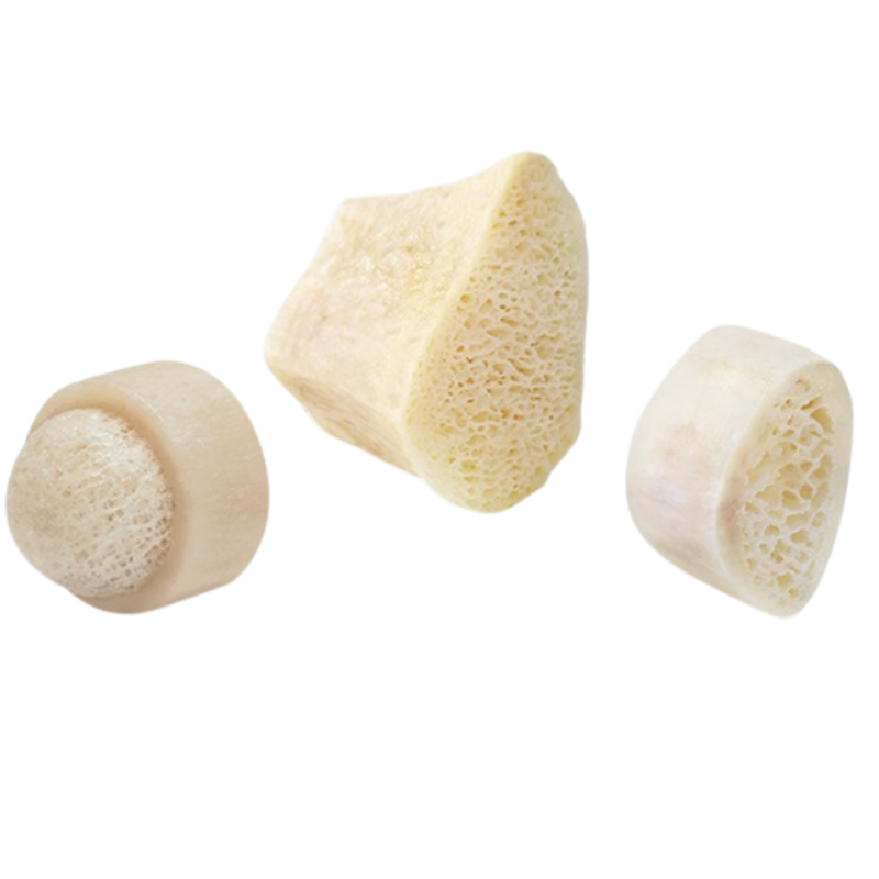 three differently shaped metatarsal lengthening allografts showing their inside texture